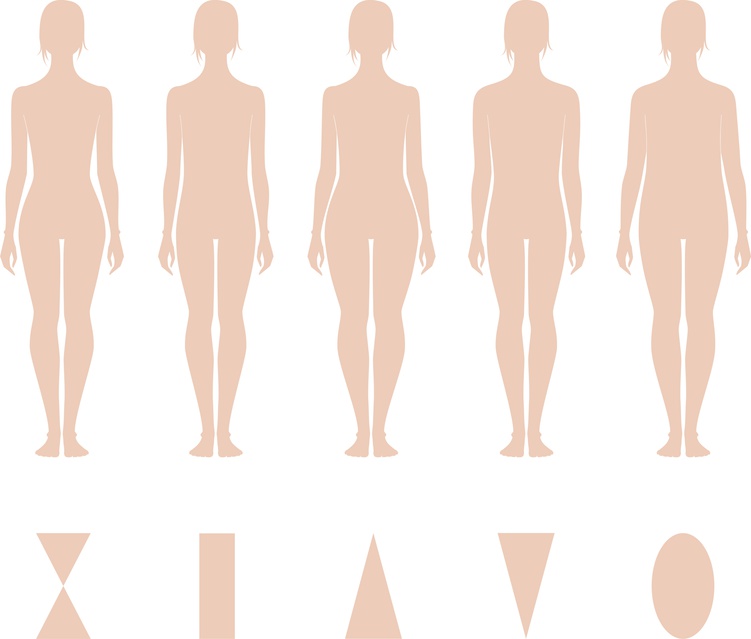Vector illustration of women's figures. Different types